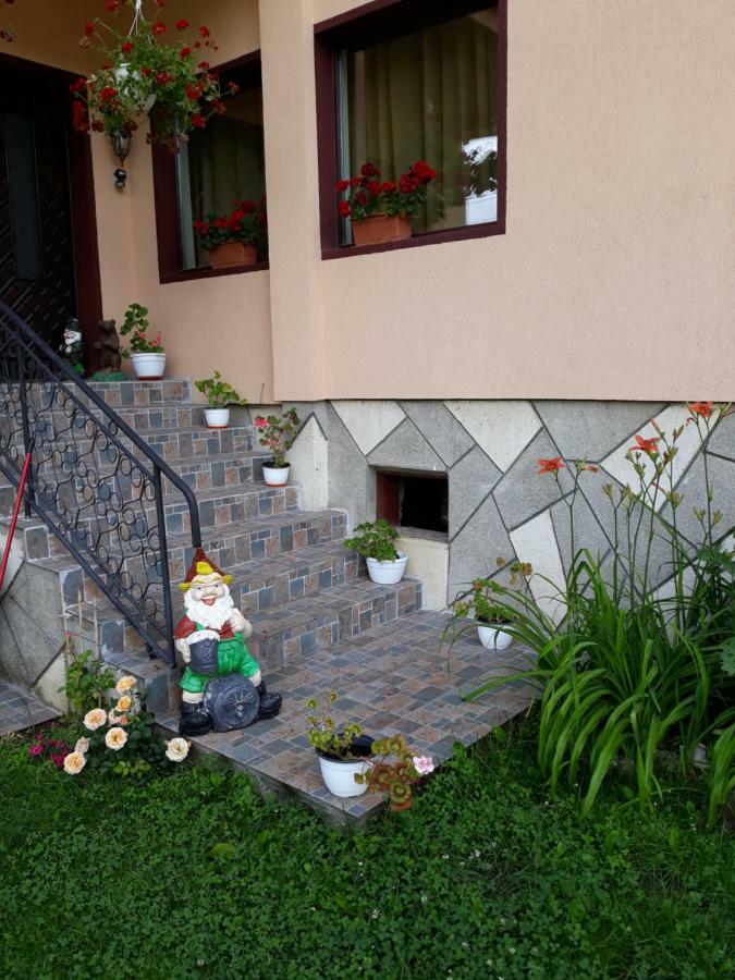 Apartament Laura Бран Екстер'єр фото